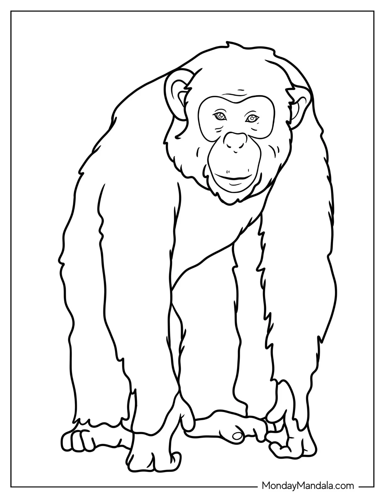 Monkey Coloring Page Of Realistic Young Chimpanzee coloring page