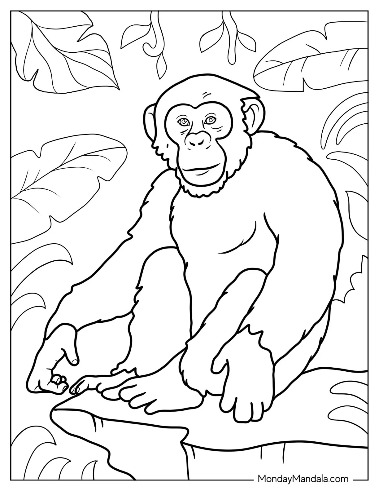 Monkey Coloring Page Of Smiling Chimpanzee On A Rock coloring page