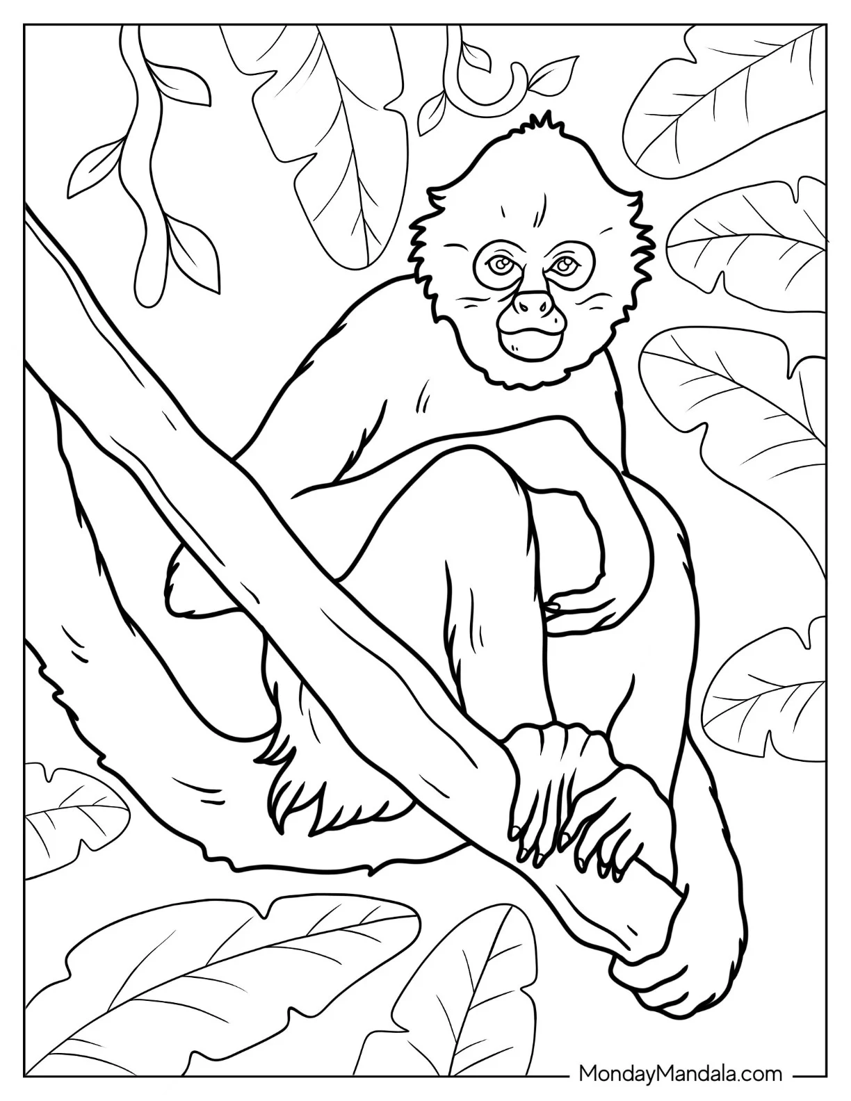 Monkey Coloring Page Of Spider Monkey Balancing On Tree Branch coloring page