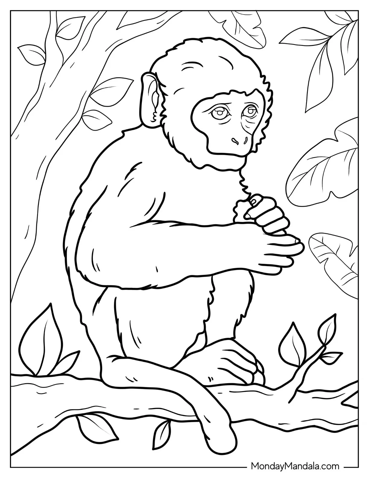 Monkey Coloring Page Of Worried Baby Monkey coloring page — printable line art