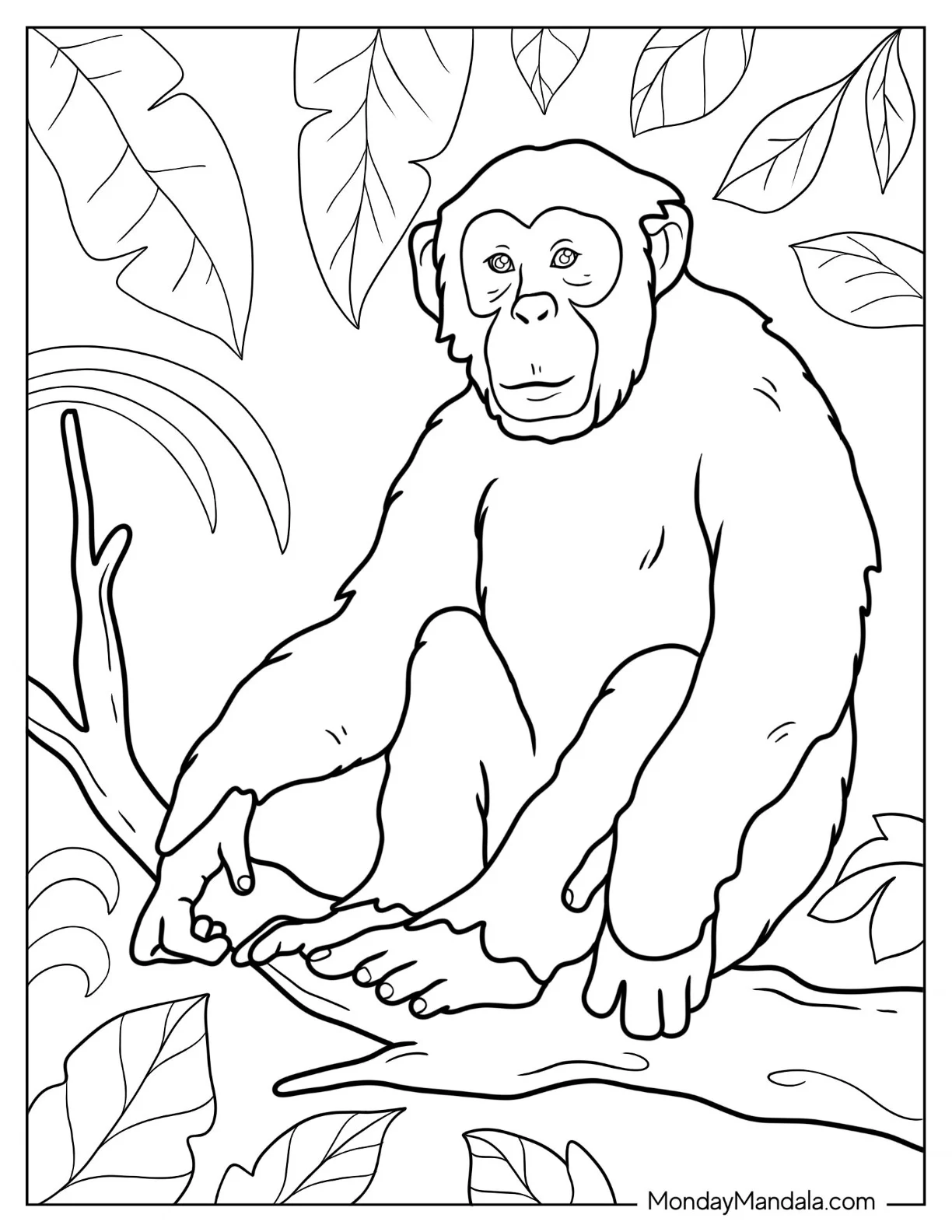 Monkey Coloring Page Of Young Chimpanzee coloring page — printable line art