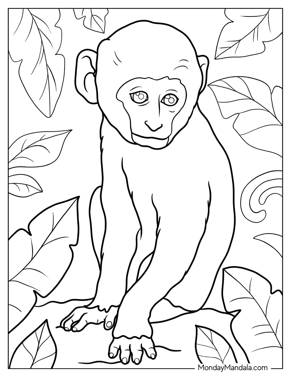 Realistic Baby Monkey Coloring Page Sitting On Ground coloring page