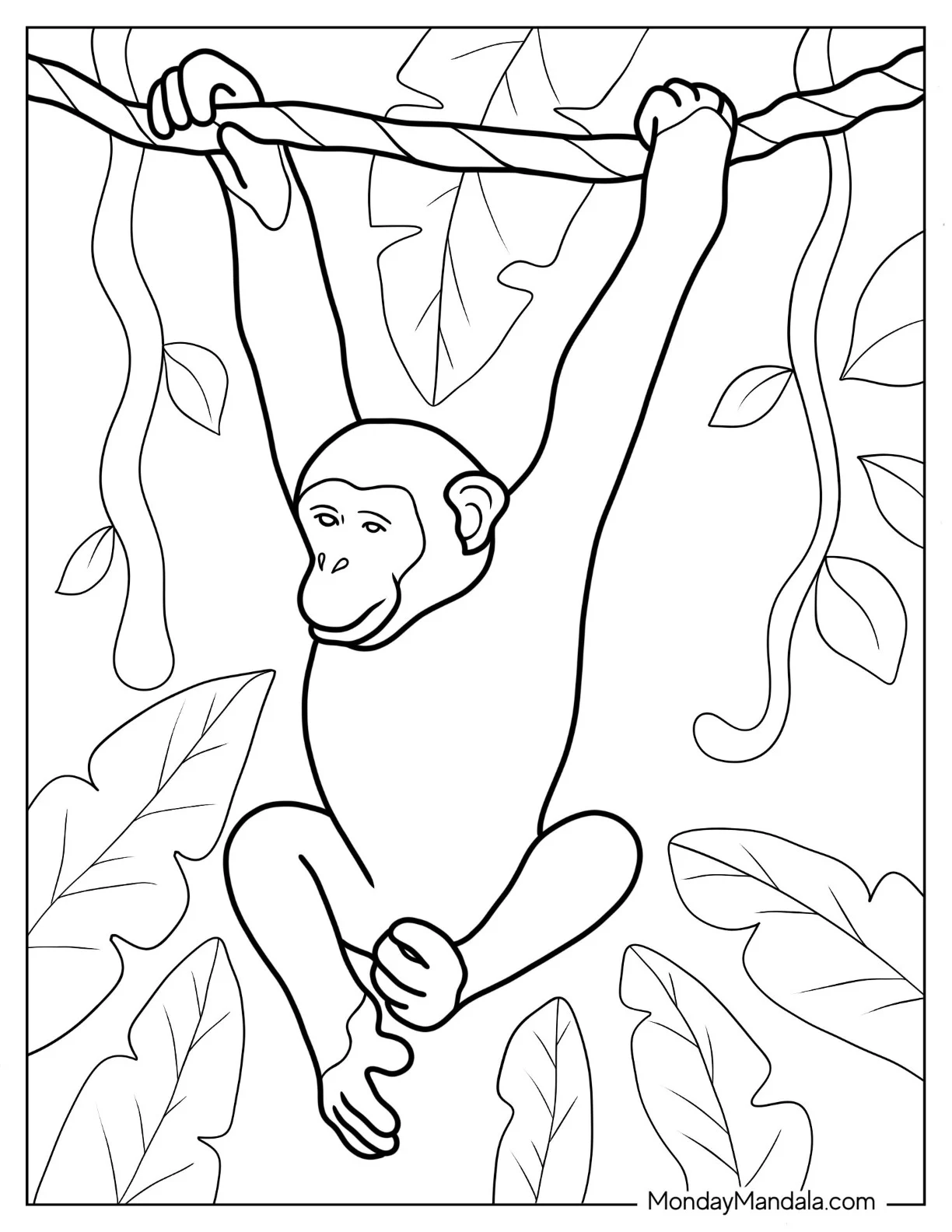 Realistic Monkey Coloring Page Hanging On Tree Branch coloring page — printable line art