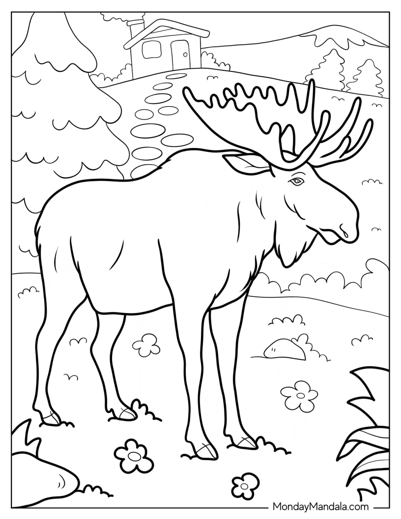 Full Grown Moose Coloring Page In Field coloring page