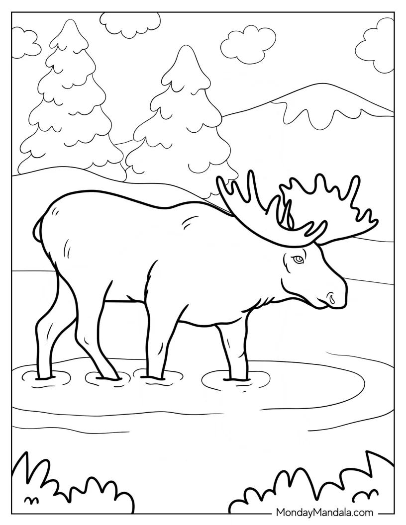 Moose Coloring Page Walking In Shallow Waters coloring page