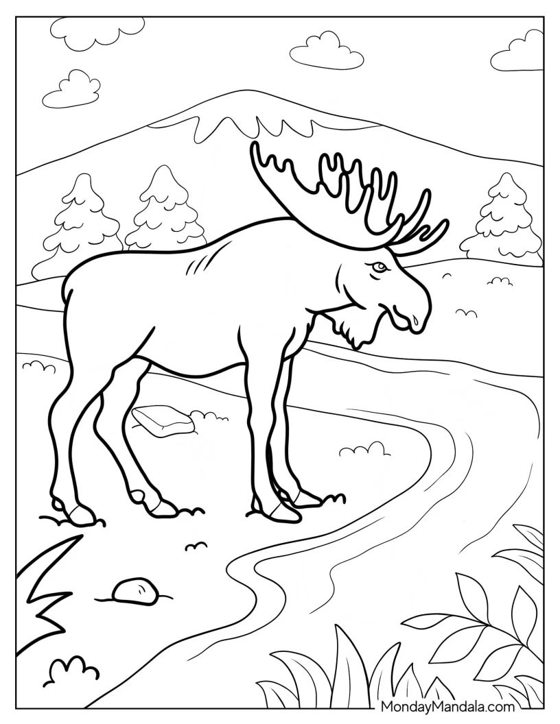 Realistic Moose Coloring Page Standing In Front Of Stream coloring page