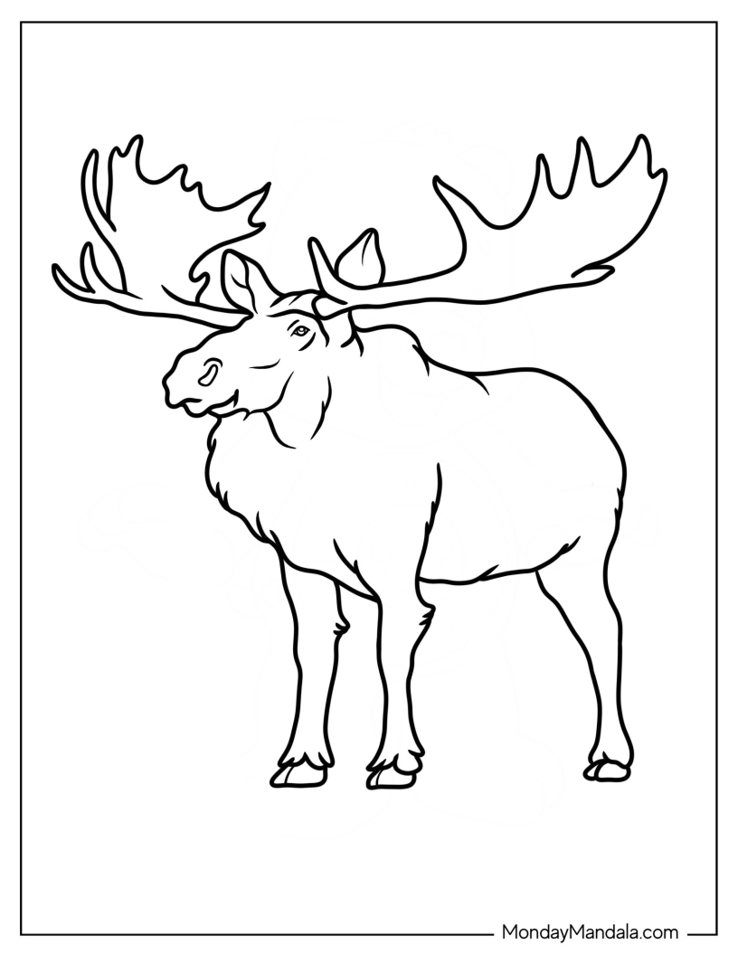 Simple Elk Moose Coloring Page Outline For Kids coloring page