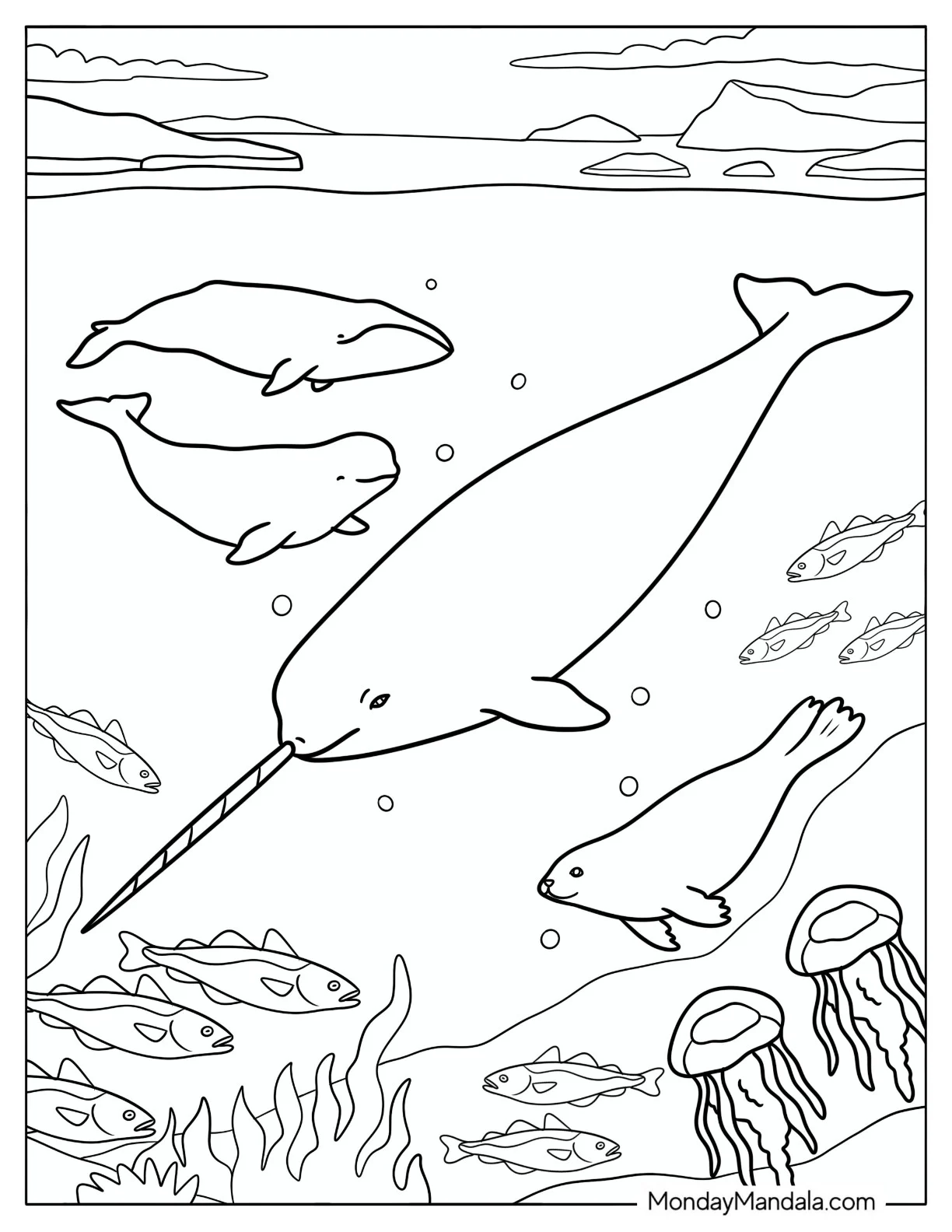 Easy Narwhal Swimming with Seal and Dolphin coloring page — printable line art