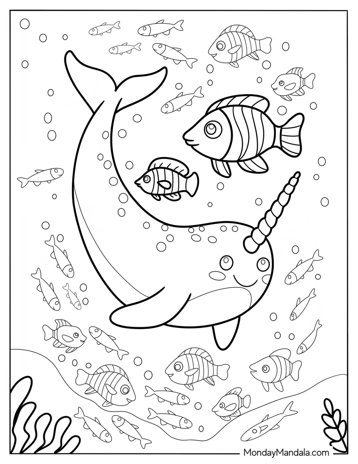 Narwhal Coloring Page Swimming With Fishes coloring page — printable line art
