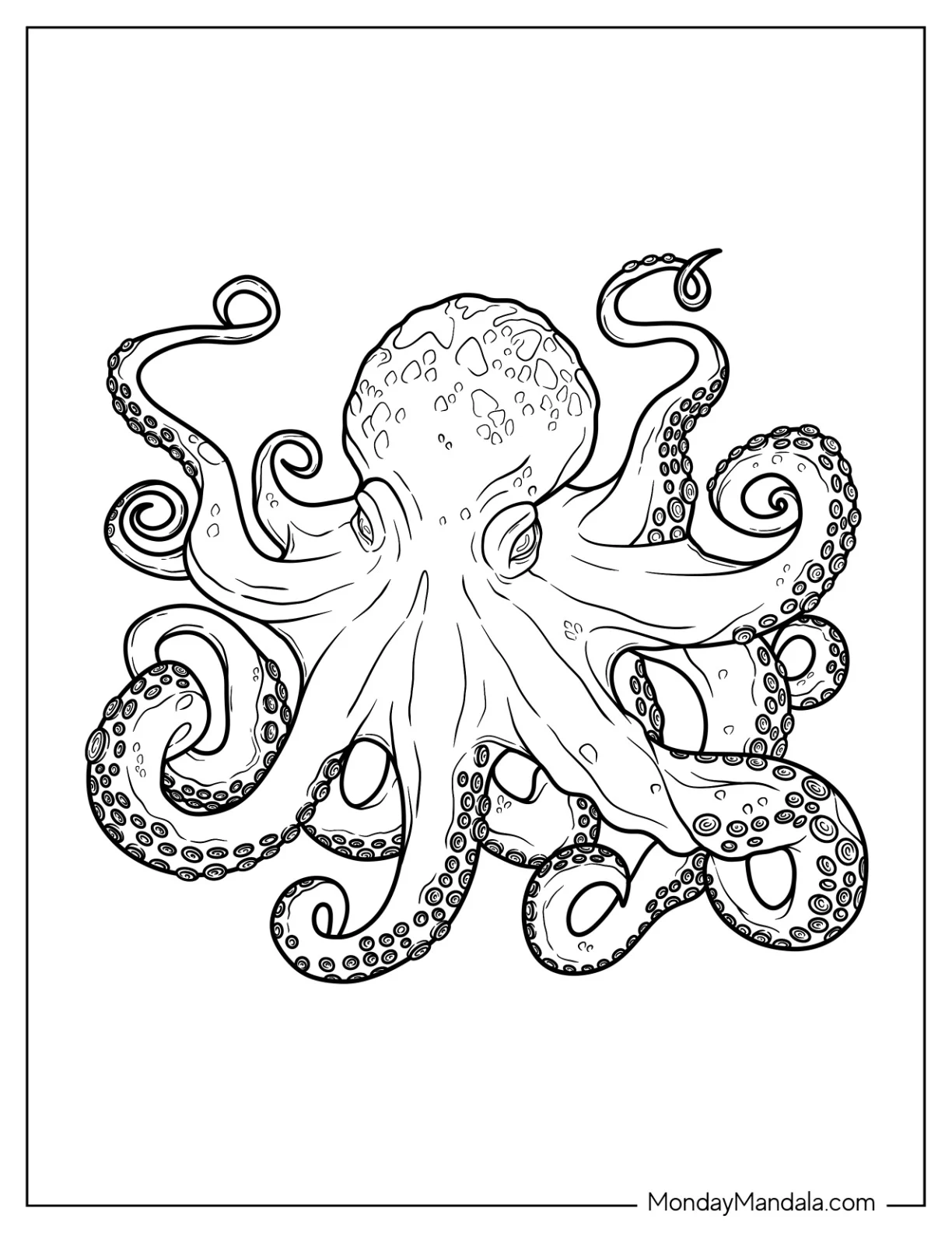 East Pacific Red Octopus Coloring Page coloring page
