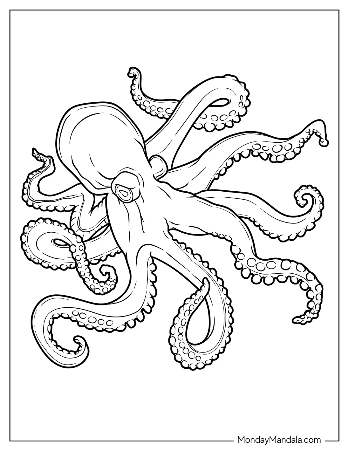 Realistic Octopus Coloring Page coloring page