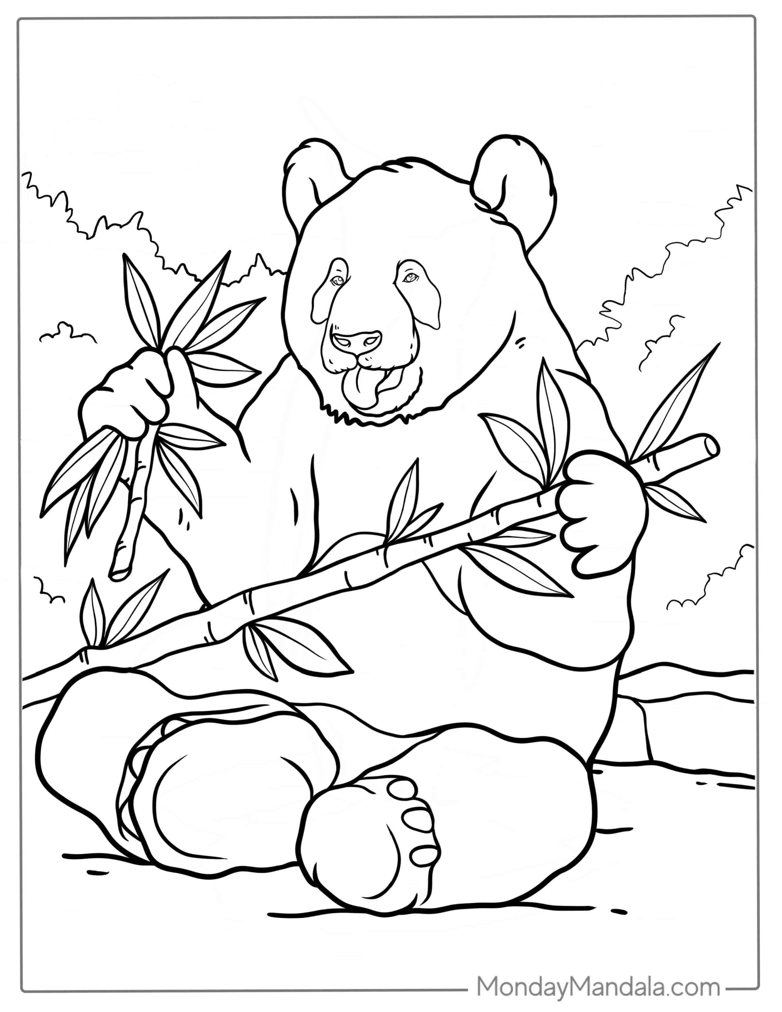 Giant Panda Sitting And Eating Bamboo coloring page — printable line art