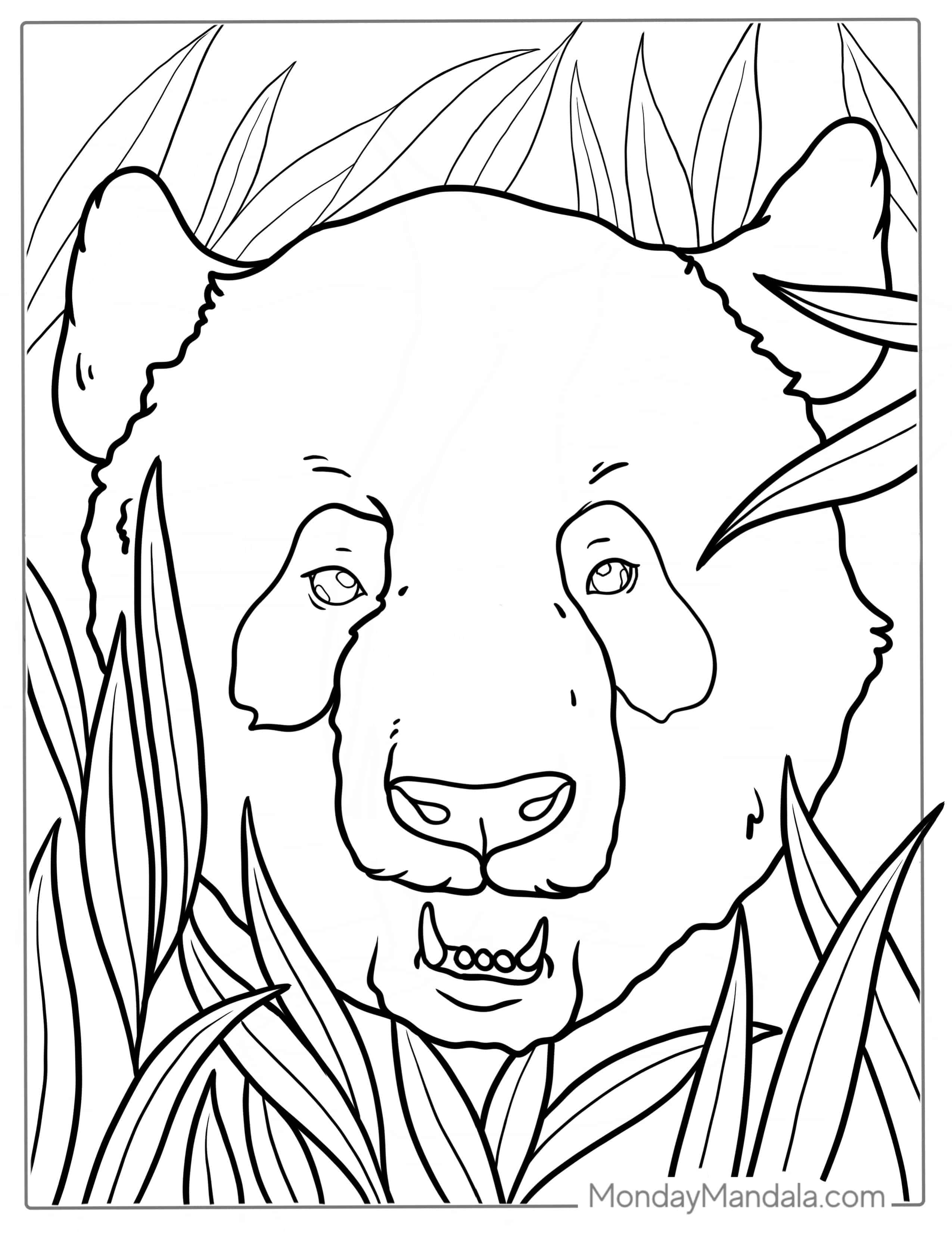 Outline Of Panda Head To Color coloring page