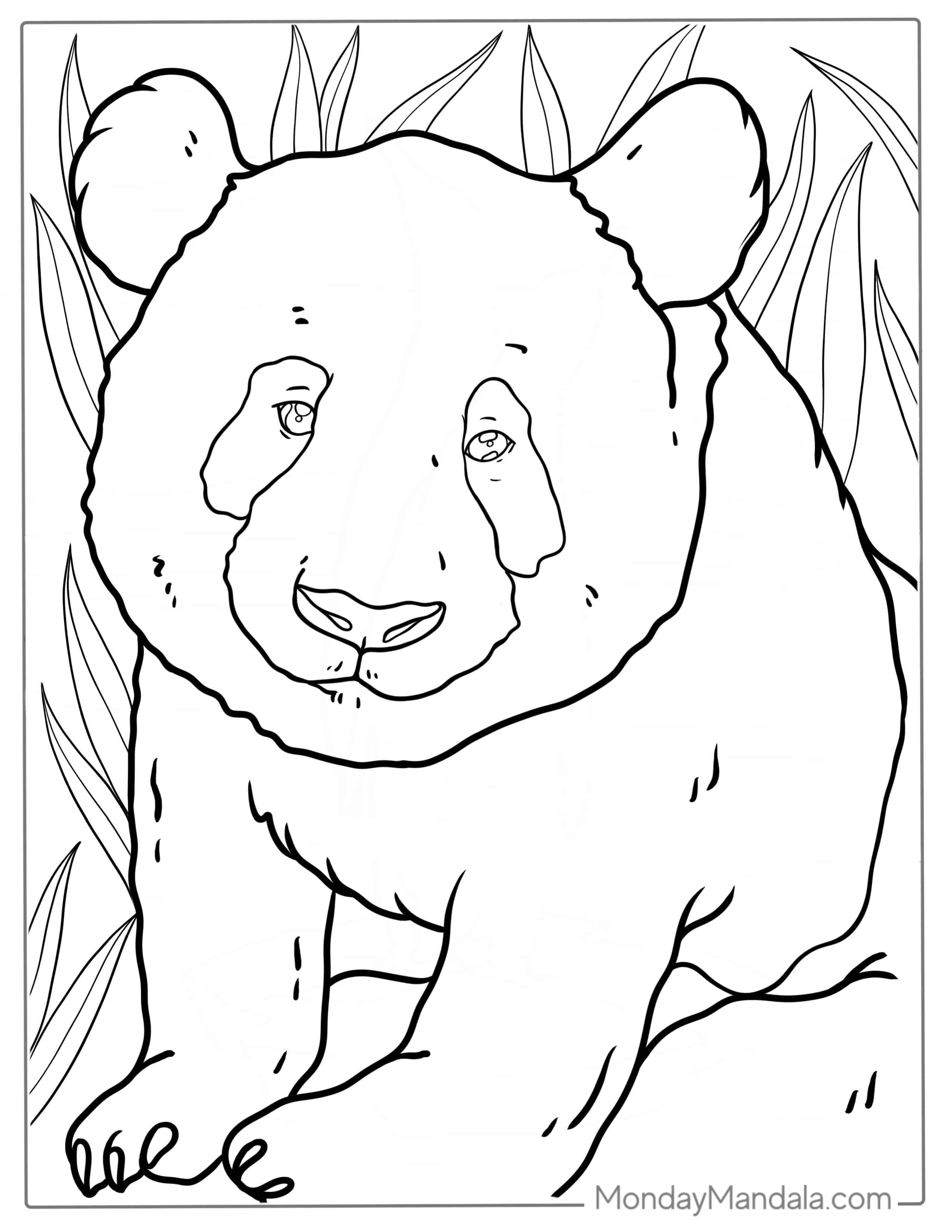 Simple Outline Of Baby Panda To Color coloring page — printable line art