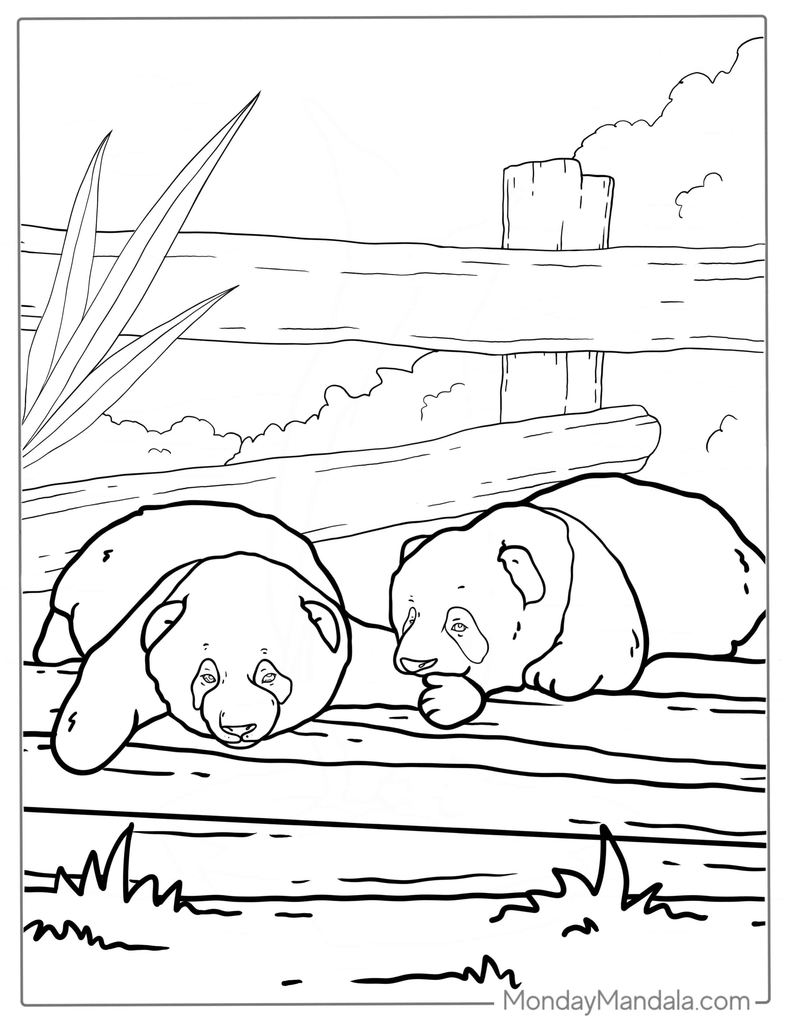 Two Baby Pandas Playing Coloring Sheet coloring page