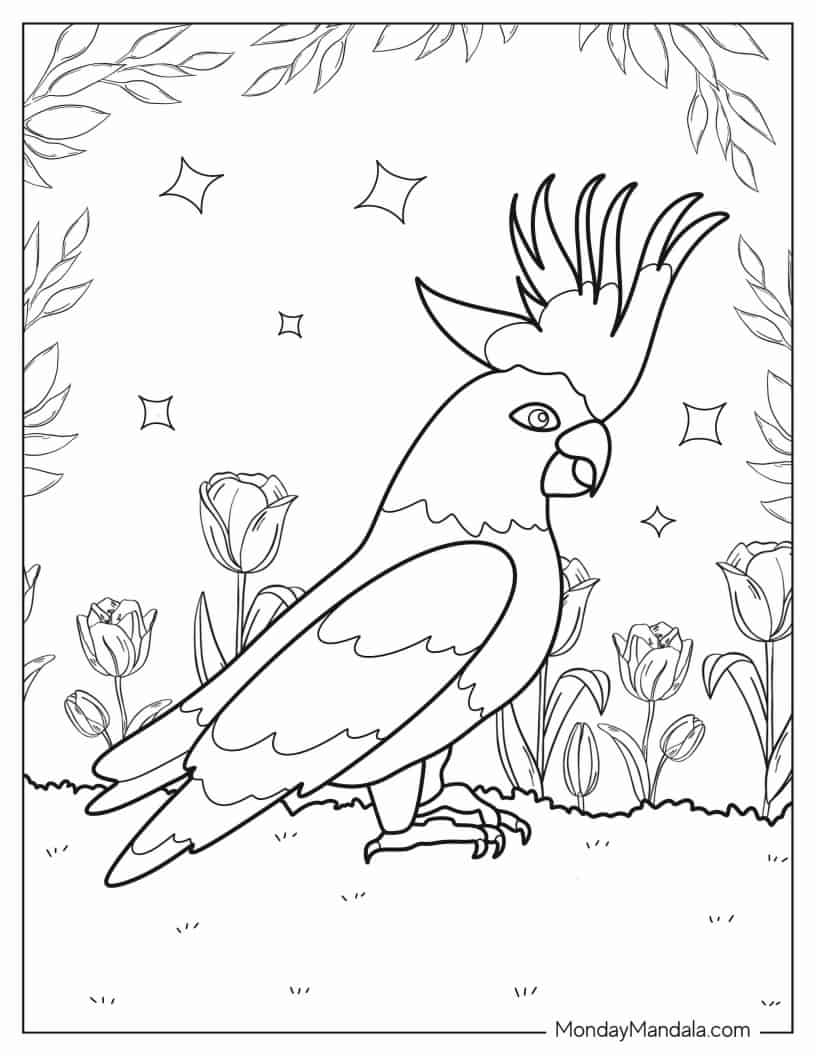 Australian Cockatoo To Color coloring page