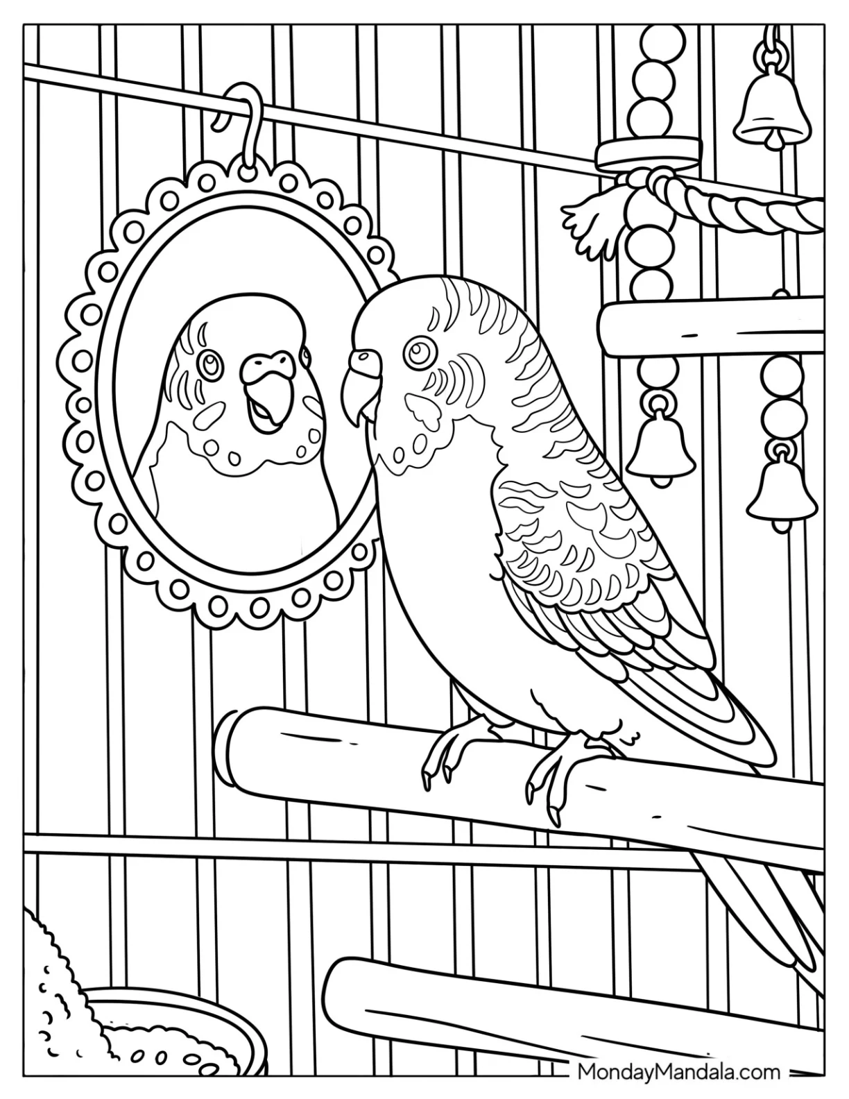 Budgerigar Parakeet Looking in a Mirror Coloring Page coloring page