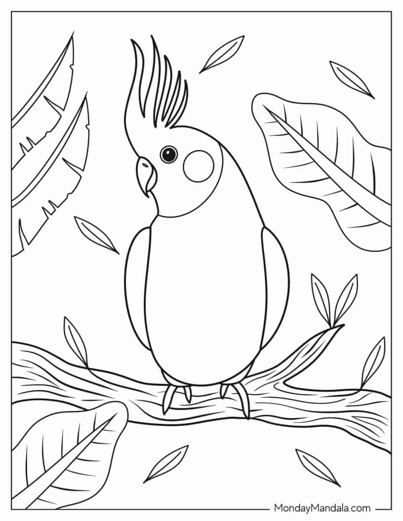 Easy Parrot To Color For Kids coloring page