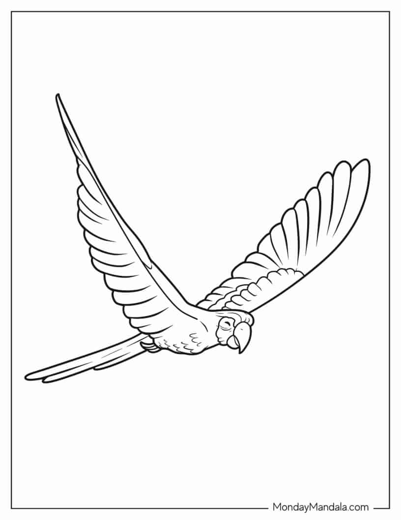 Flying Hyacinth Macaw Parrot coloring page
