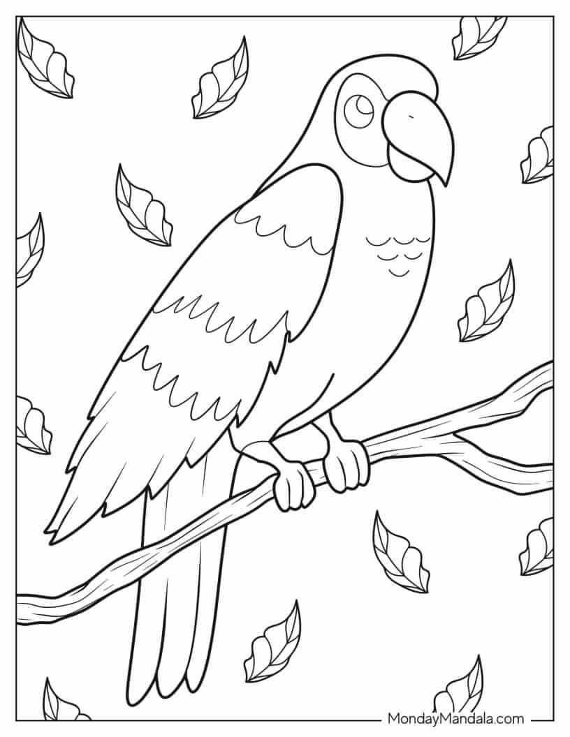 Kids Coloring Page Of a Parrot coloring page — printable line art