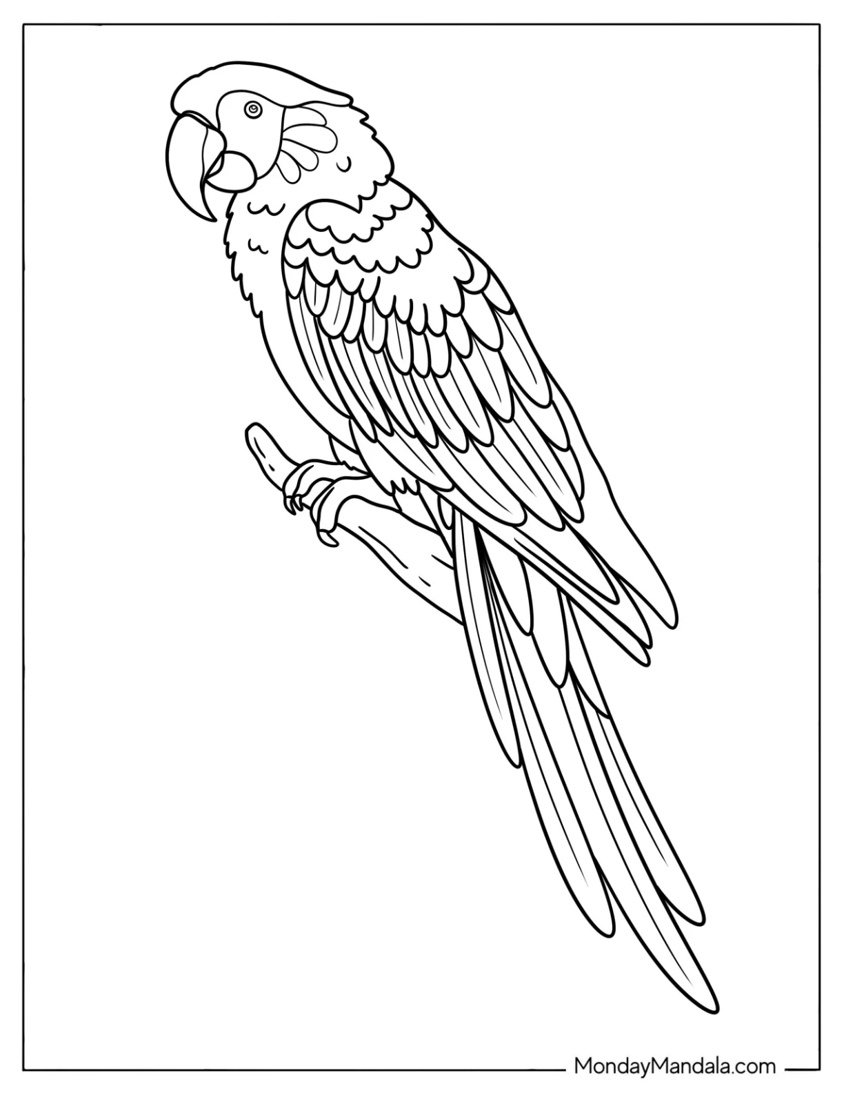 Macaw Parrot Resting on a Branch Coloring Page coloring page — printable line art