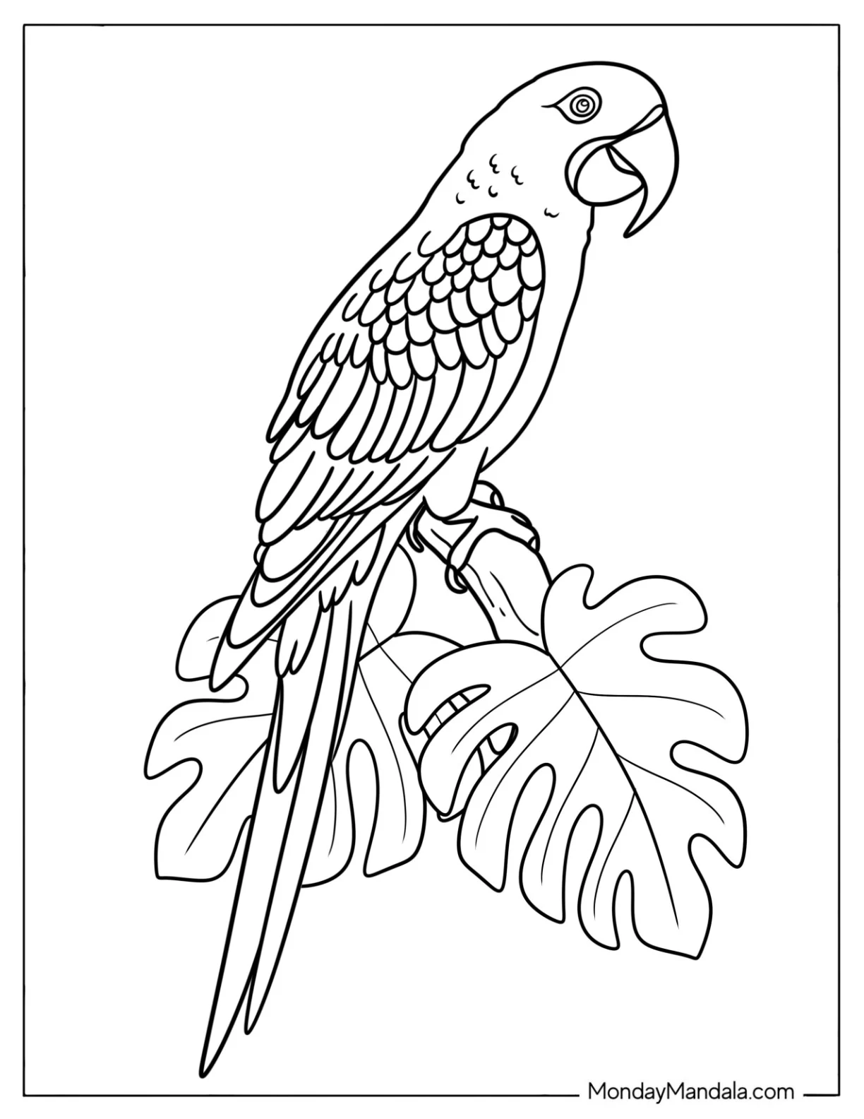 Macaw Parrot Standing on Tropical Leaves Coloring Page coloring page — printable line art