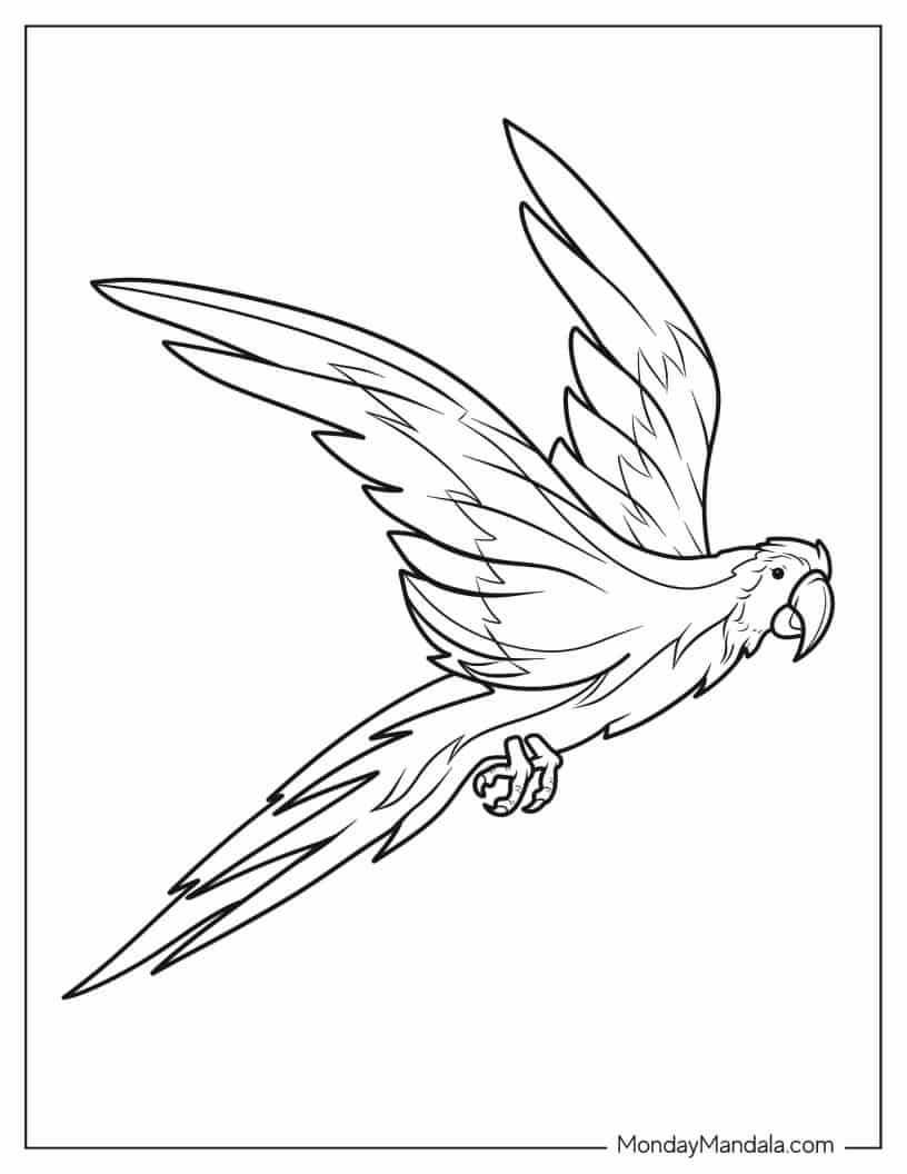 Parrot Flying With Large Wings coloring page