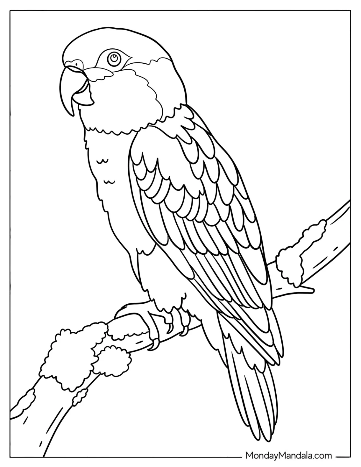 Realistic Parrot Perched on a Tree Branch Coloring Sheet coloring page