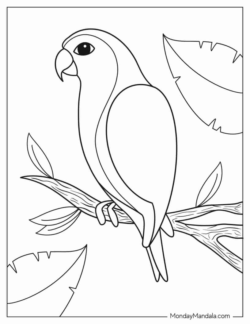 Simple Outline Of Parrot To Color coloring page — printable line art
