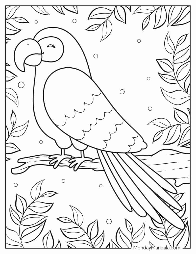 Smiling Parrot To Color coloring page
