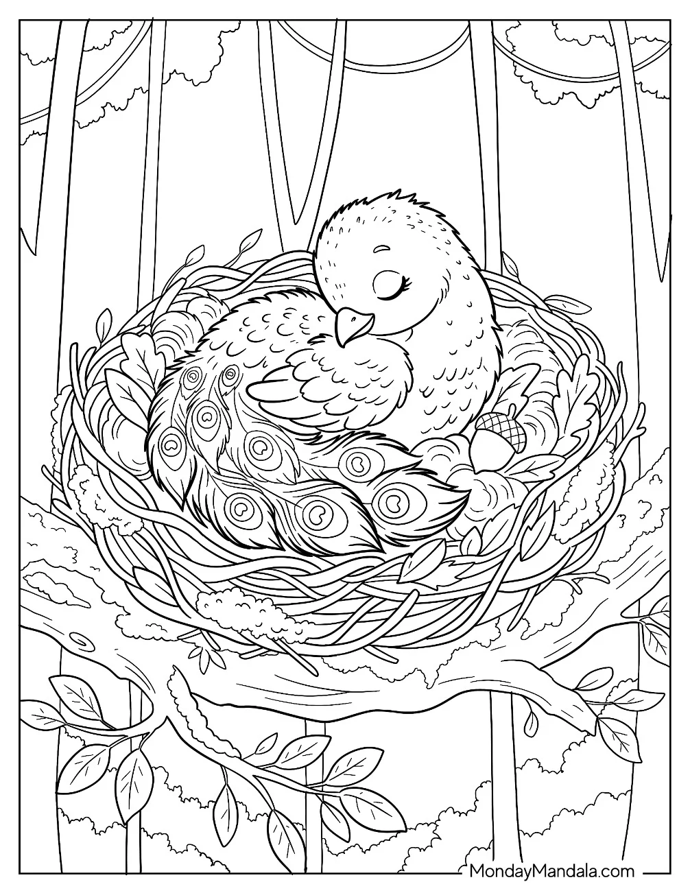 Baby Peacock Sleeping in a Tree Nest Coloring Page for Kids coloring page