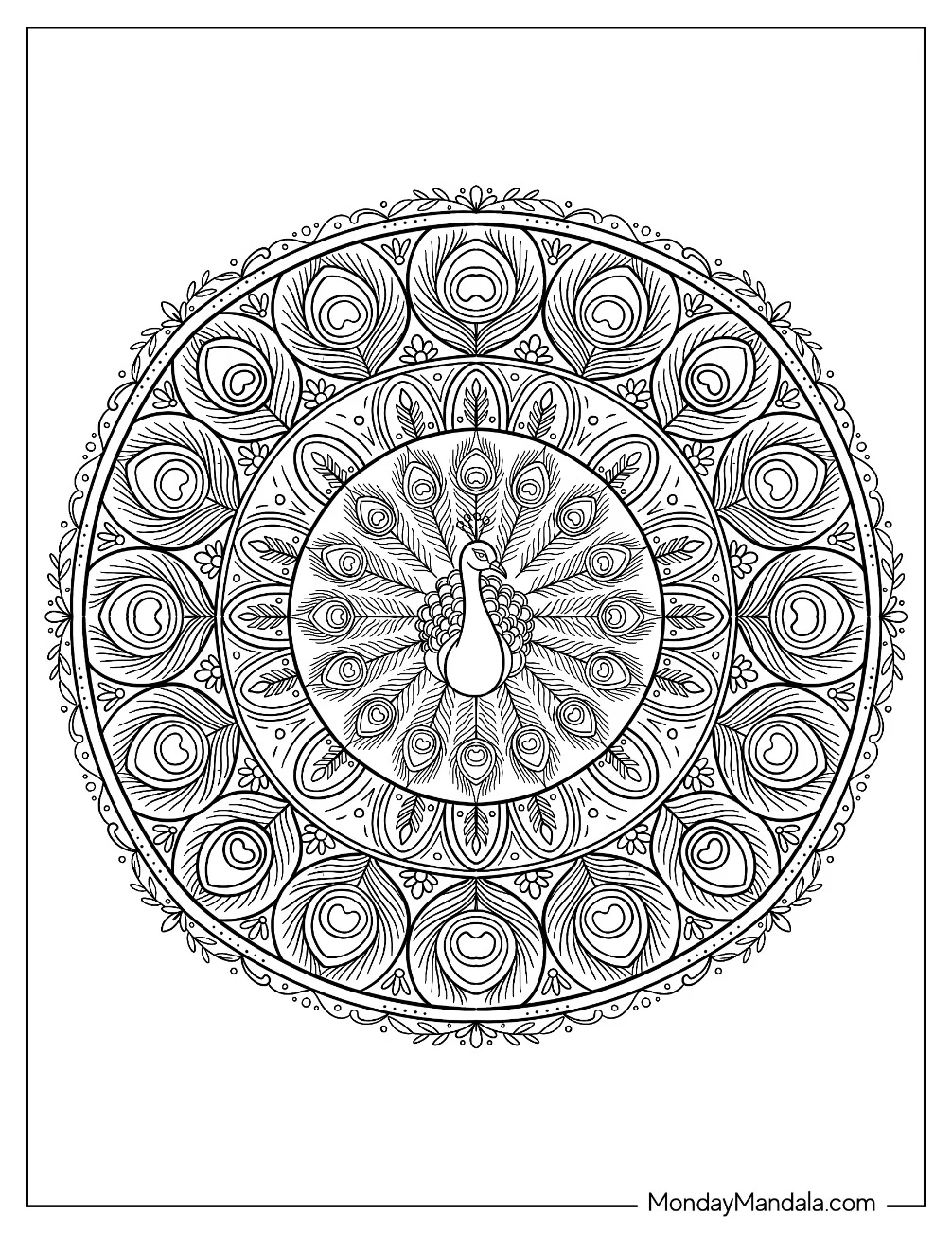 Circular Peacock Mandala with Detailed Feather Patterns coloring page — printable line art