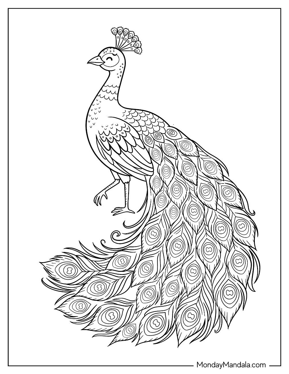 Elegant Peacock with Flowing Tail Feathers coloring page