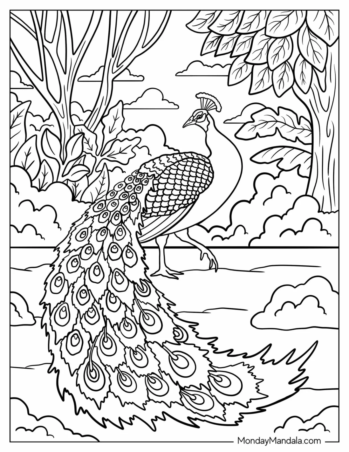 Majestic Peacock Coloring Page in Forest Landscape with Trees and Clouds coloring page
