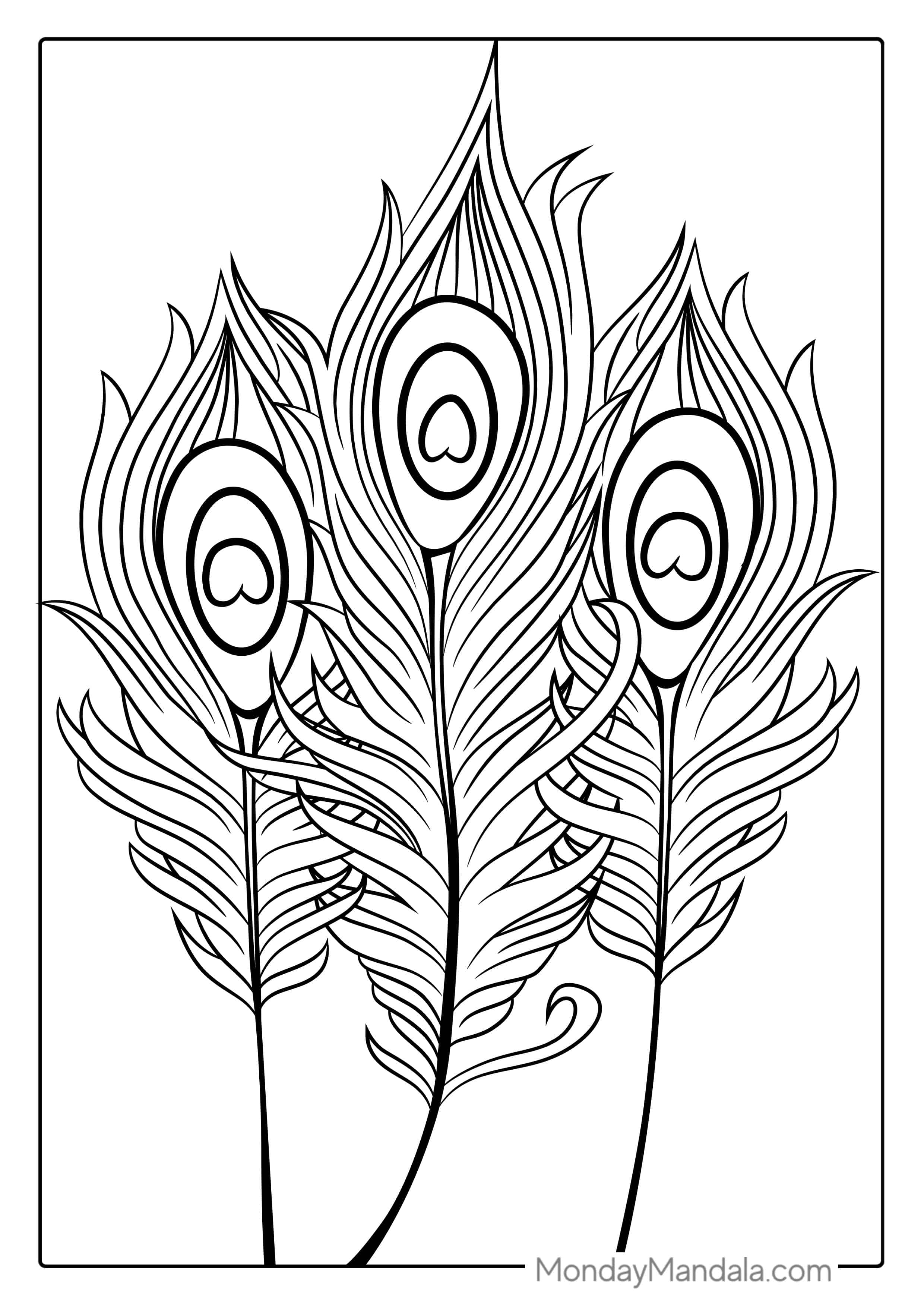 Peacock Bird Feather Coloring In coloring page