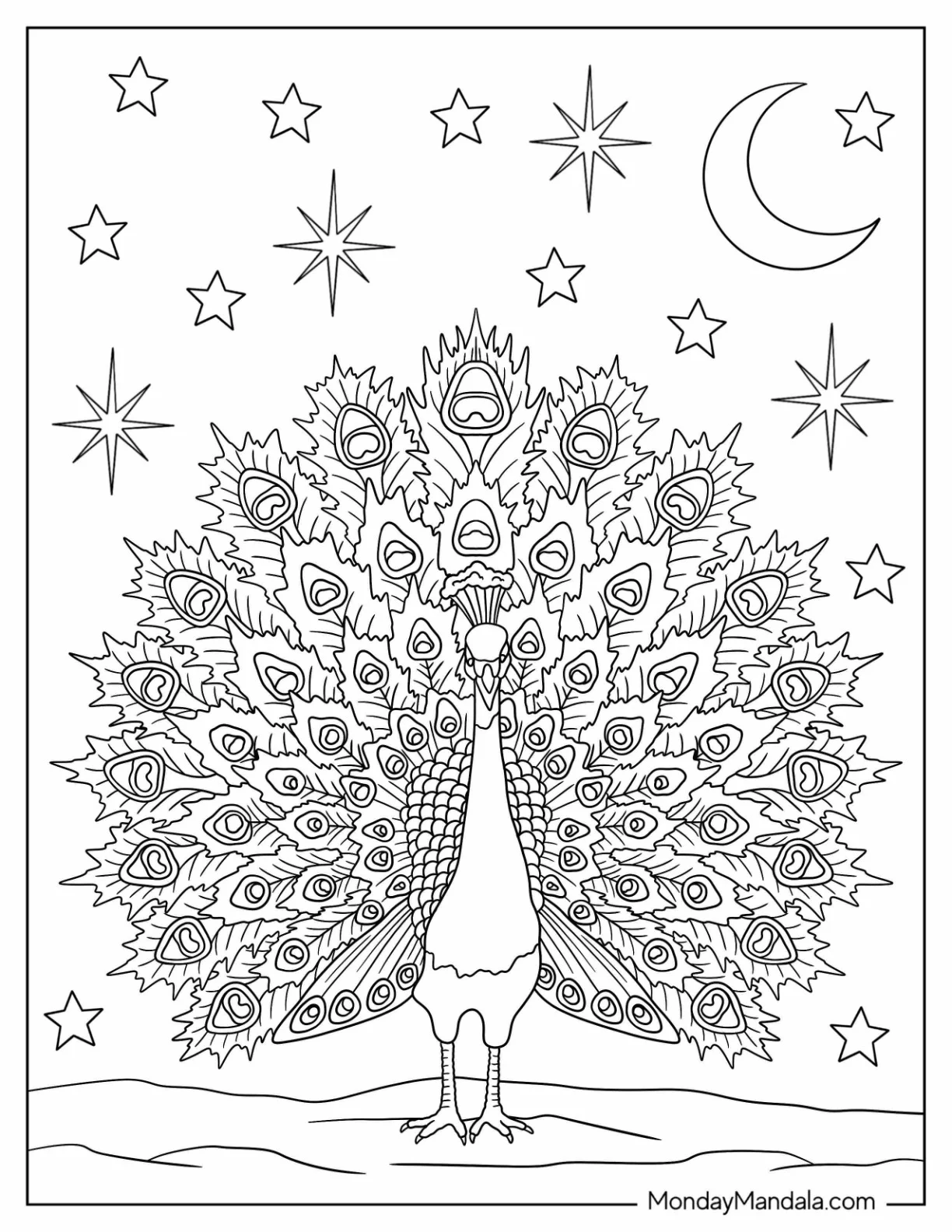 Peacock Coloring Page at Night with Crescent Moon and Stars coloring page