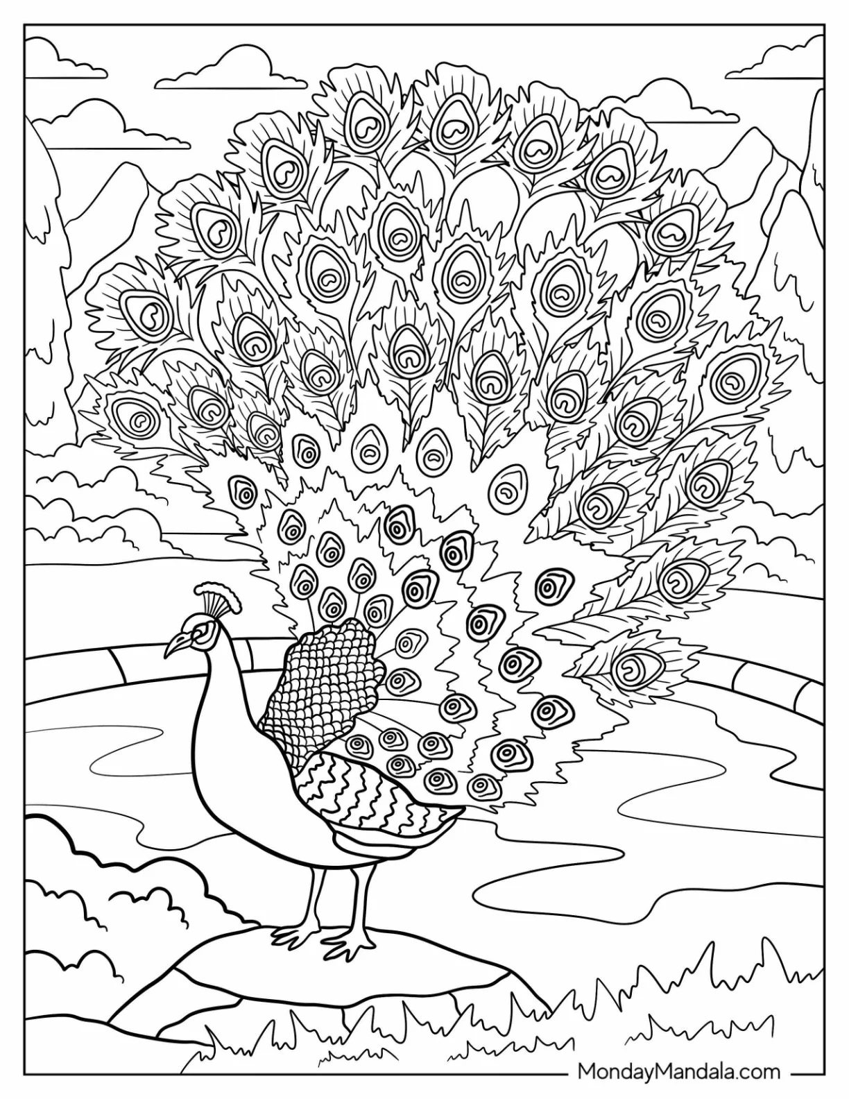 Peacock Coloring Page with Fanned Feathers by Mountain Pond coloring page