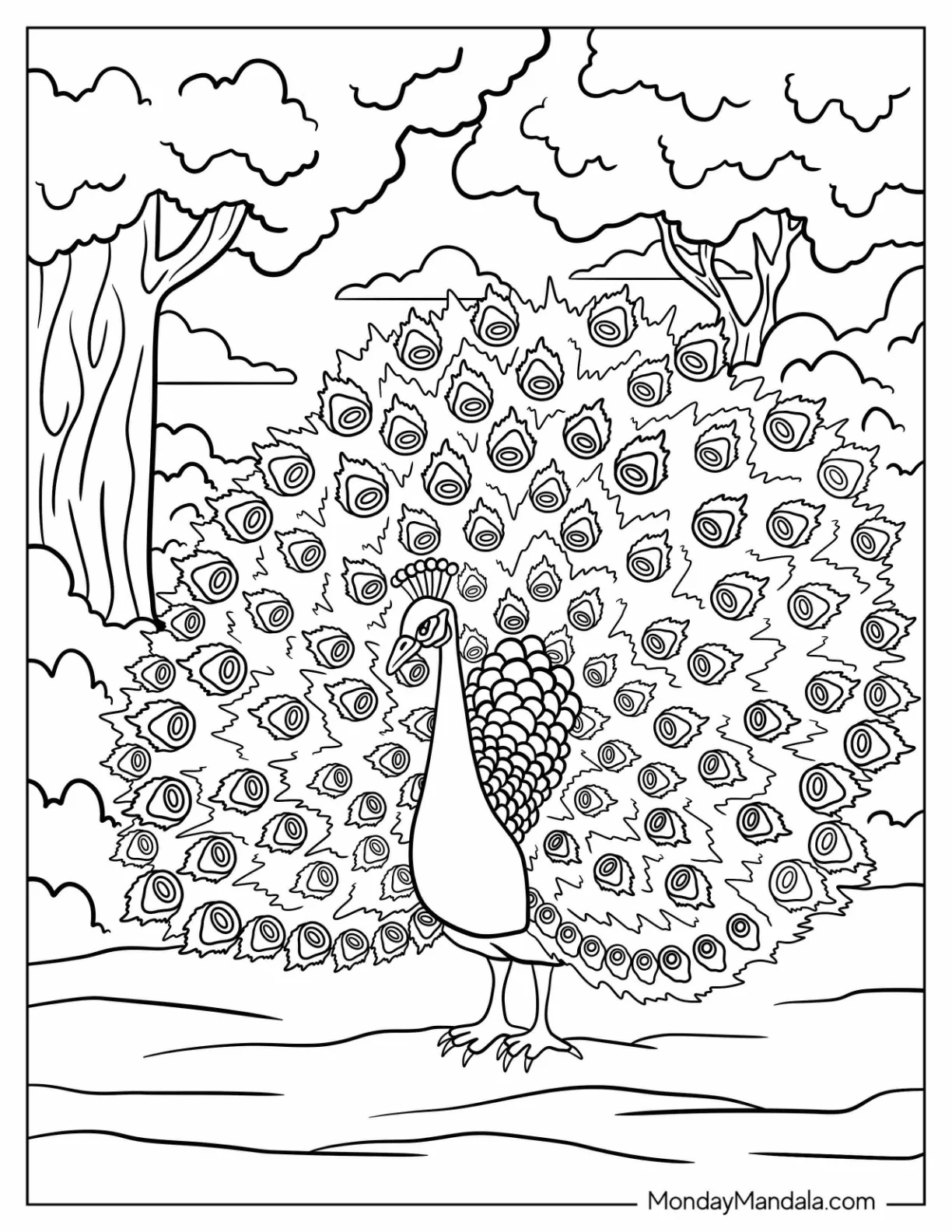 Peacock Coloring Page with Fully Fanned Tail in Forest Clearing For Adults coloring page