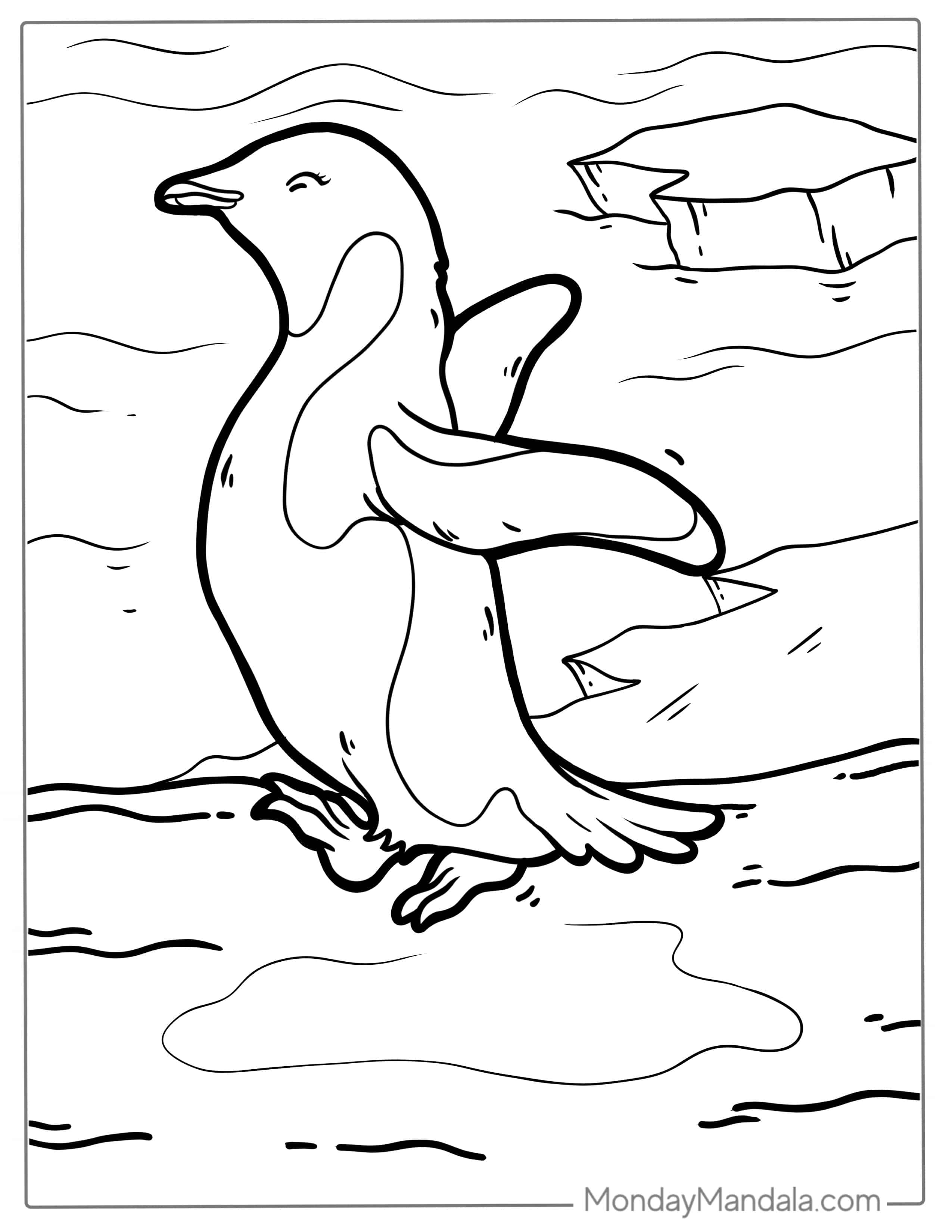 Adelie Penguin Coloring Page coloring page
