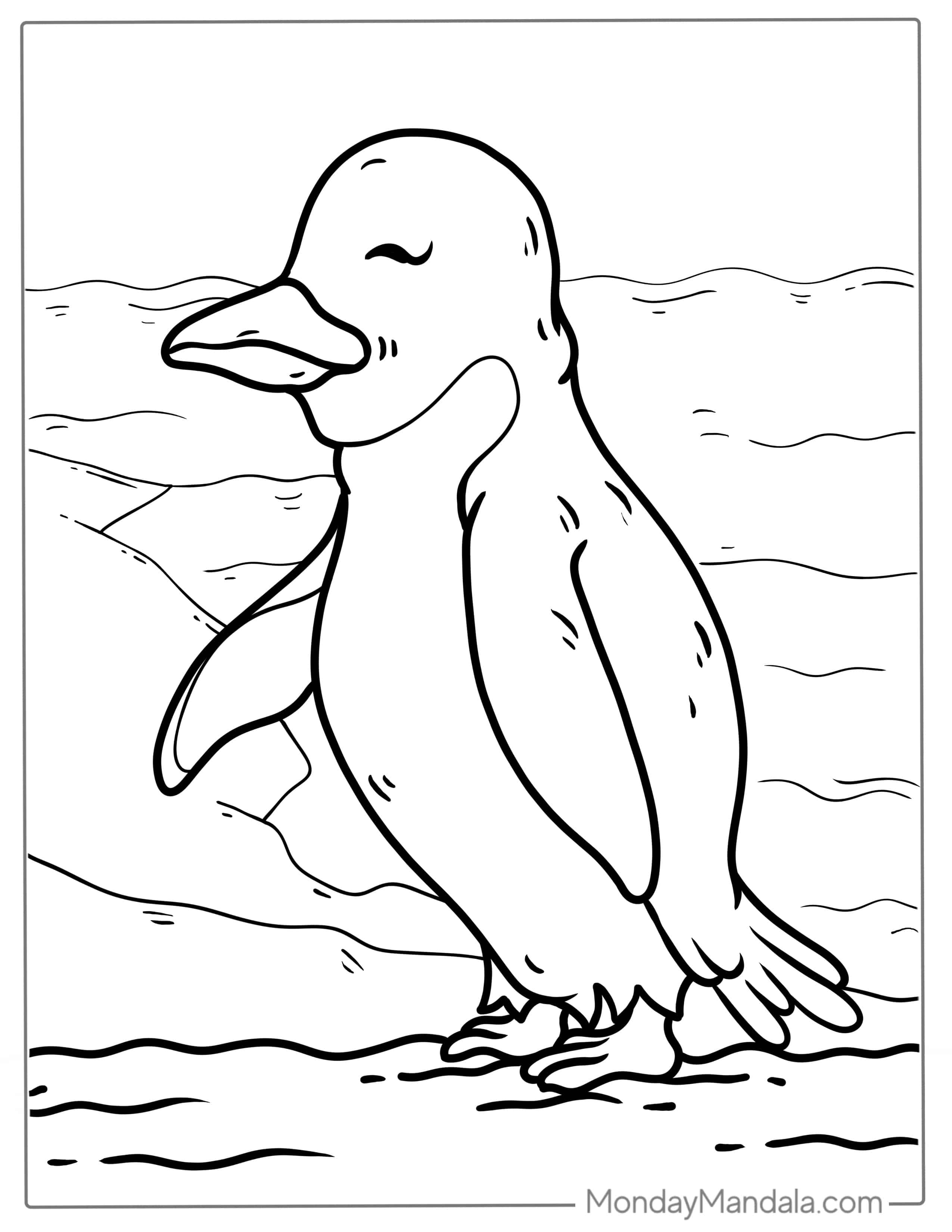 Snares Penguin Coloring Page For Kids coloring page — printable line art
