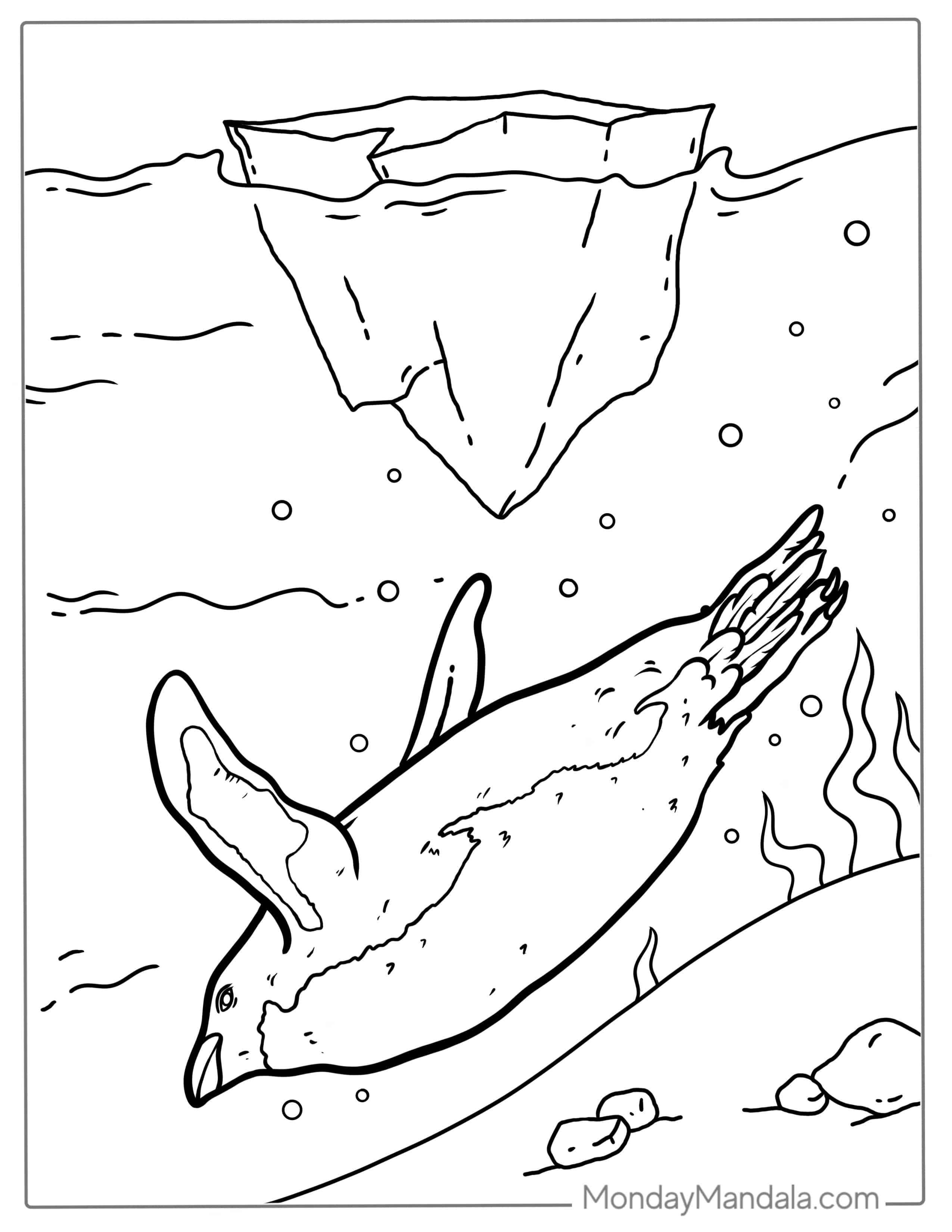 Swimming Galapagos Penguin Coloring In coloring page