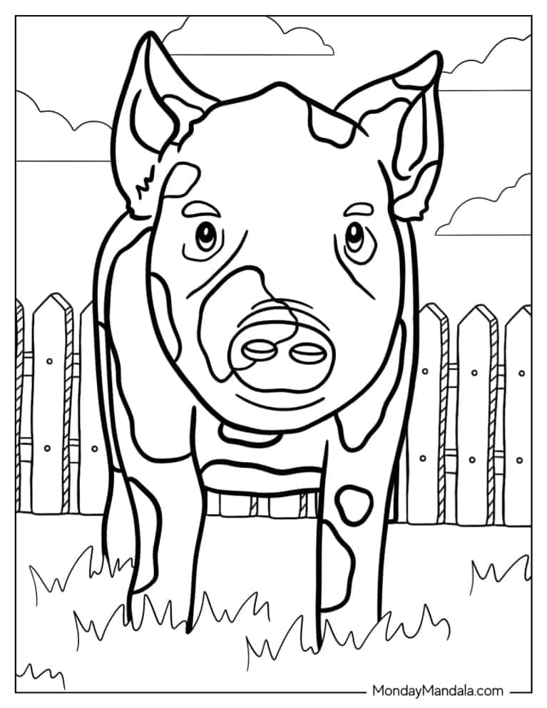 Baby Spotted Piglet In a Field coloring page