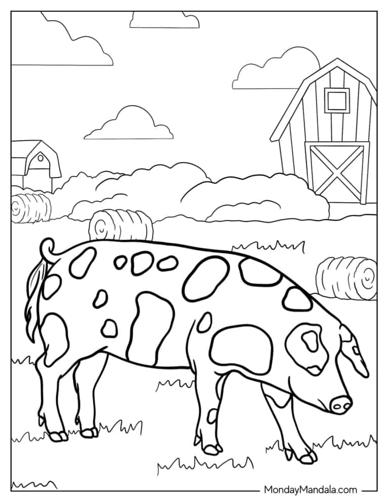 Bentheim Black Pied Pig On Farm coloring page