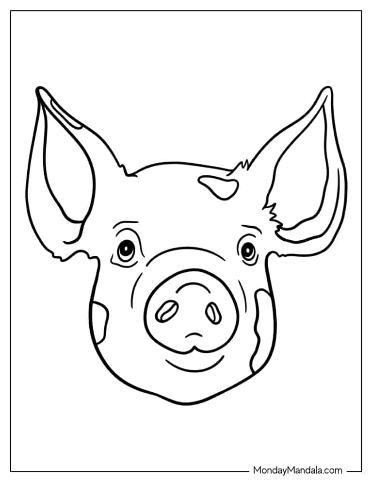 Simple Outline Of a Pigs Head To Color coloring page — printable line art