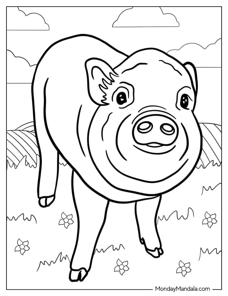 Smiling Cute Baby Pig coloring page