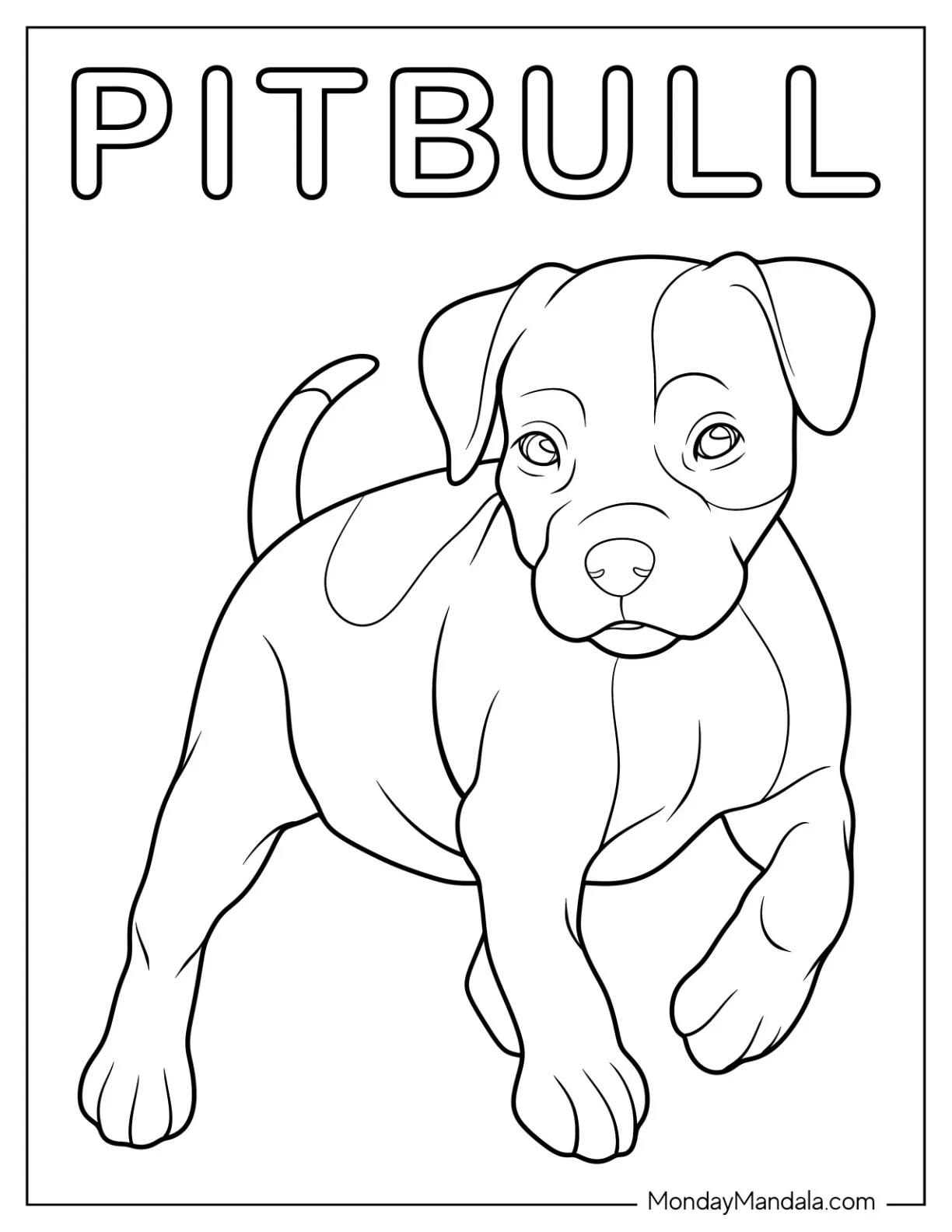 Simple Pitbull Coloring Page Walking For Preschoolers coloring page