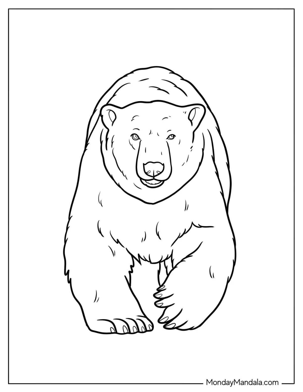 Front View of Realistic Polar Bear Coloring Page for Kids coloring page