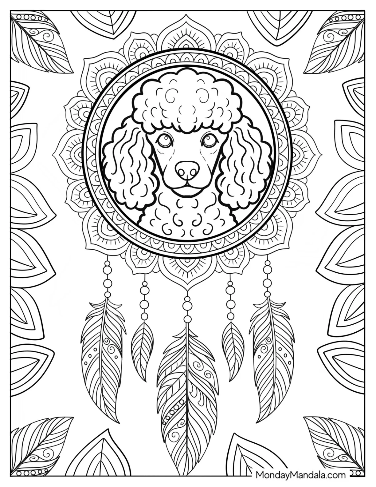 Elegant Poodle Coloring Page in Floral Mandala Dreamcatcher with Feathers coloring page