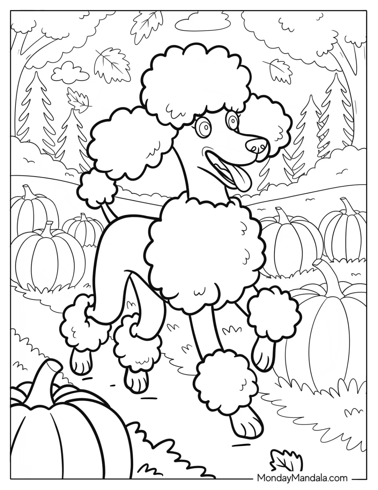 Excited Poodle Coloring Page Walking through a Pumpkin Patch coloring page