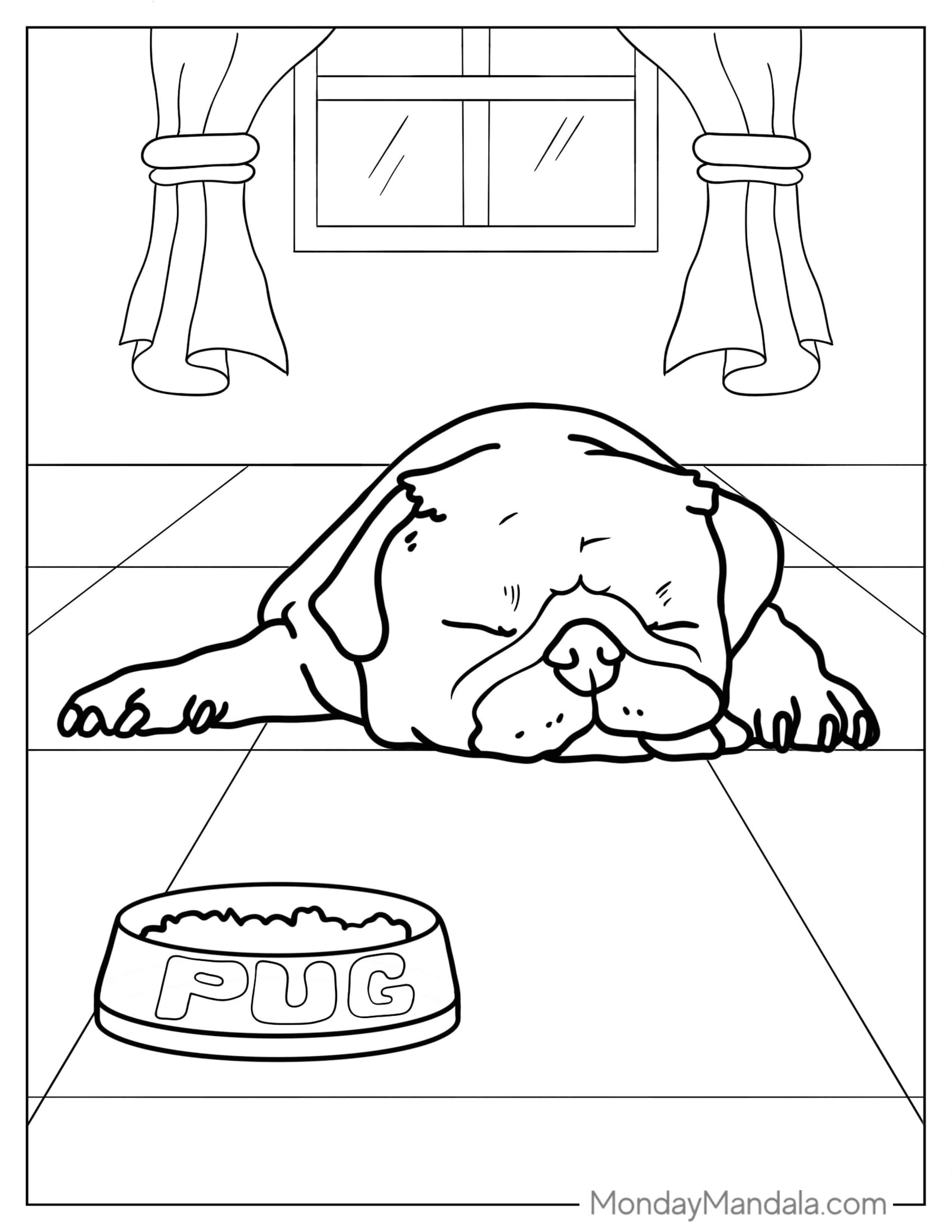 Adorable Pug Sleeping In Front Of Bowl coloring page